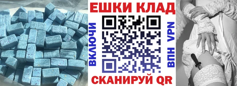 Ecstasy Philipp Plein  МЕГА ТОР  Верещагино  цены  