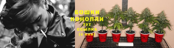 марихуана Тавда