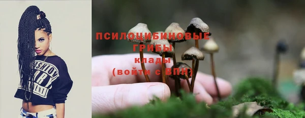 MDMA Premium VHQ Белокуриха