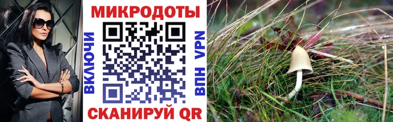 где найти наркотики  Верещагино  Псилоцибиновые грибы ЛСД 